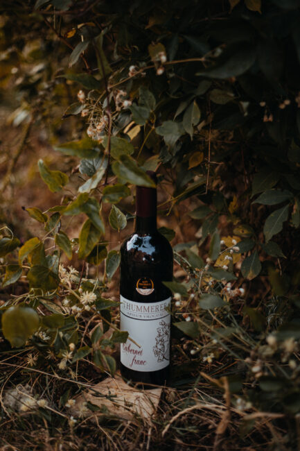 Egri Cabernet Franc Superior Válogatás 2018 bor a növények között ízlésesen elhelyezve.